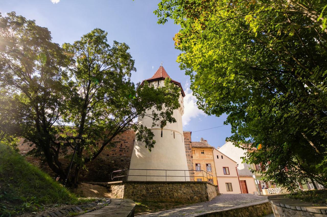 Studio Anisia Leilighet Sibiu Eksteriør bilde